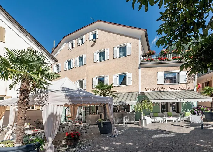 Hotel Weisse Lilie - B&B